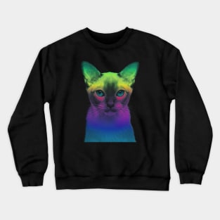 RAINBOW KITTY Crewneck Sweatshirt